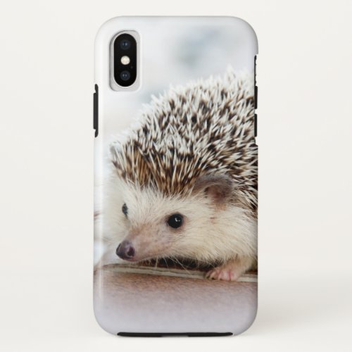 Cute Baby Hedgehog iPhone X Case
