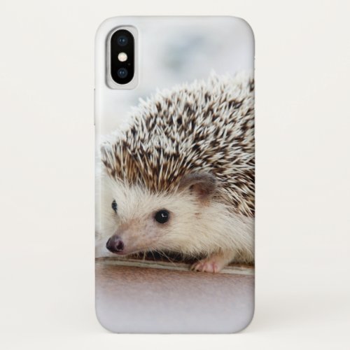 Cute Baby Hedgehog iPhone XS Case