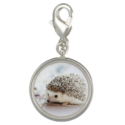 Cute Baby Hedgehog Charm