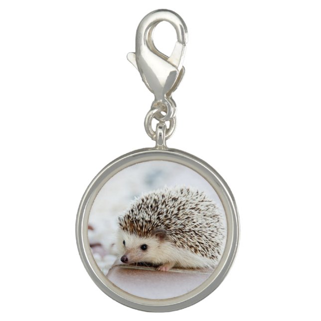 Cute Baby Hedgehog Charm (Front)