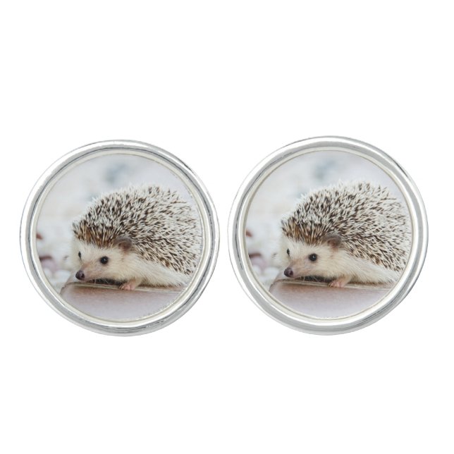 Cute Baby Hedgehog Cufflinks (Front)