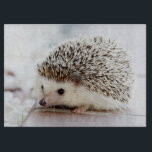 Cute Baby Hedgehog Cutting Board<br><div class="desc">Cute baby hedgehog portrait photograph on pale background.</div>