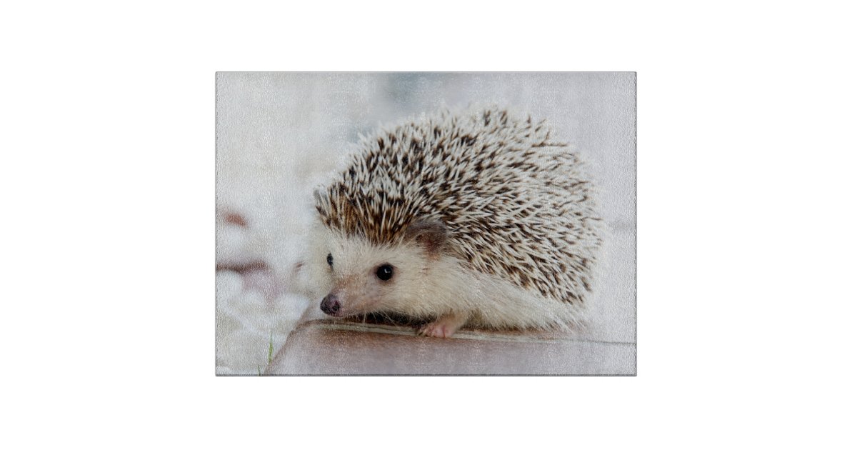 Cute Baby Hedgehog Cutting Board | Zazzle