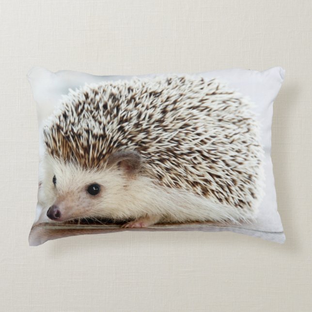 Cute Baby Hedgehog Decor Pillow (Front)