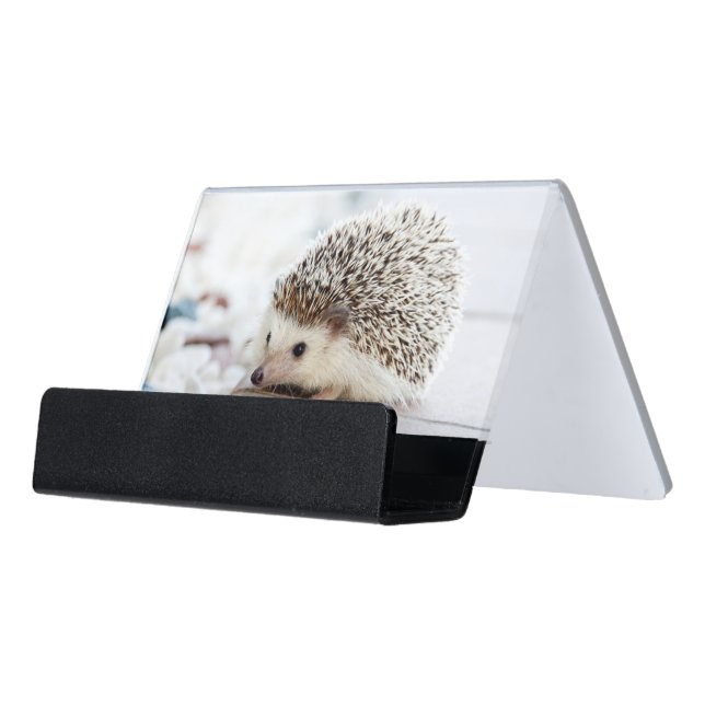 Cute Baby Hedgehog Desk Business Card Holder (Angled Front)