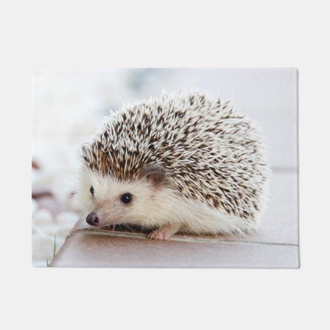 Cute Baby Hedgehog Doormat (Front)