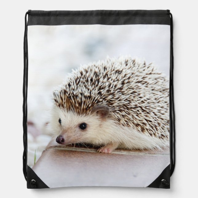 Cute Baby Hedgehog Drawstring Bag (Front)