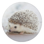 Cute Baby Hedgehog Eraser (Front)