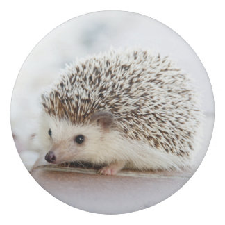 Cute Baby Hedgehog Eraser