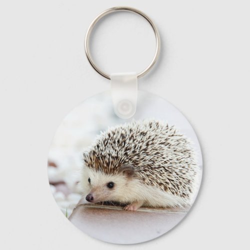 Cute Baby Hedgehog Keychain