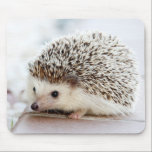Cute Baby Hedgehog Mouse Pad<br><div class="desc">Cute baby hedgehog portrait photograph on pale background.</div>