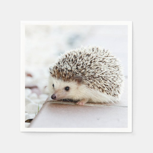 Cute Baby Hedgehog Napkins (Front)