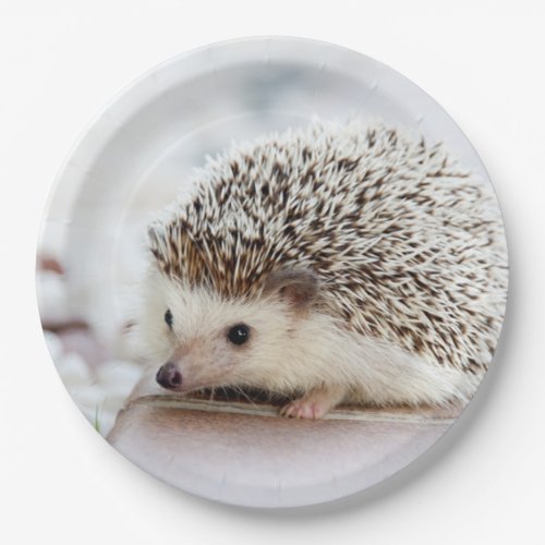 Cute Baby Hedgehog Paper Plates