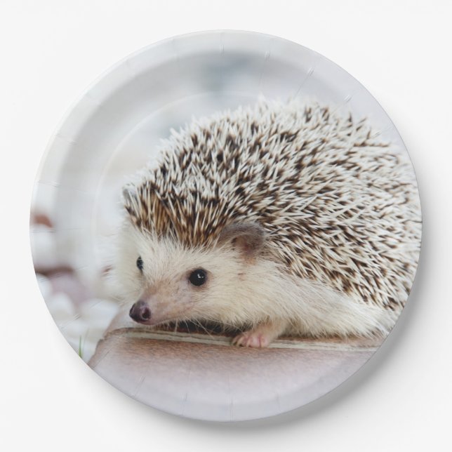 Cute Baby Hedgehog Paper Plates (Front)