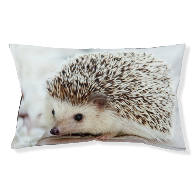 Cute Baby Hedgehog Pet Bed (Front)