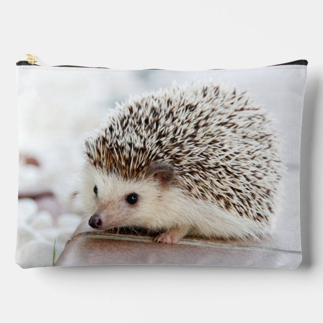 Cute Baby Hedgehog Photo Accessory Pouch (Front)