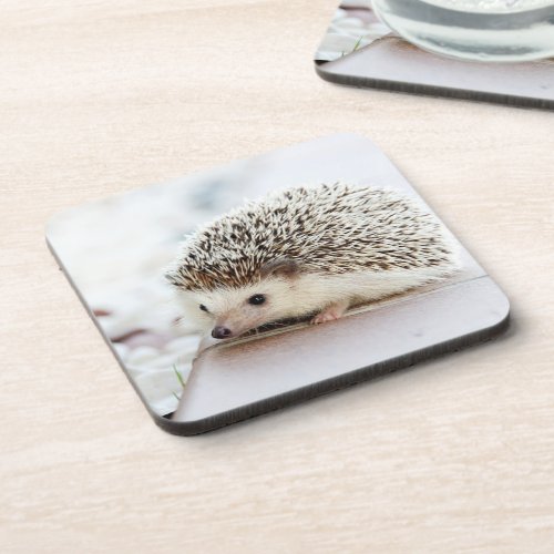 Cute Baby Hedgehog Photo Beverage Coaster