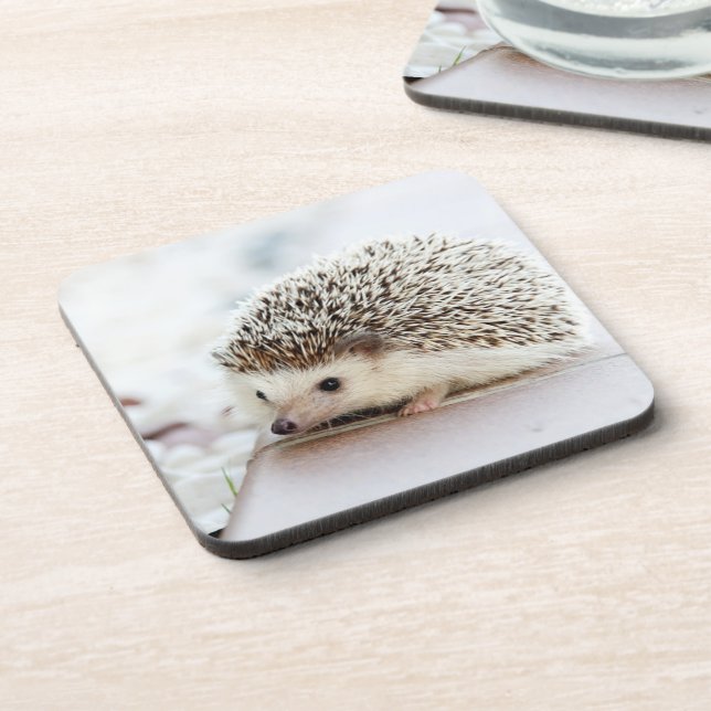 Cute Baby Hedgehog Photo Beverage Coaster (Left Side)
