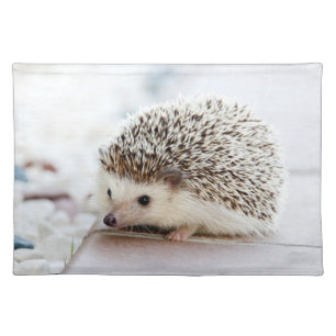Cute Baby Hedgehog Photo Cloth Placemat