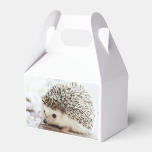 Cute Baby Hedgehog Photo Favor Boxes