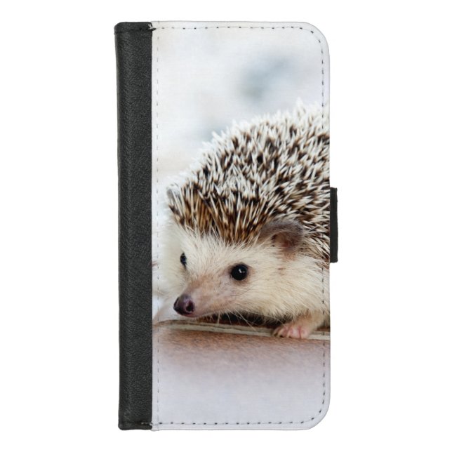 Cute Baby Hedgehog Photo iPhone Wallet Case (Front)