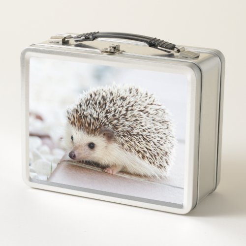 Cute Baby Hedgehog Photo Metal Lunch Box