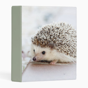 Cute Baby Hedgehog Photo Mini Binder