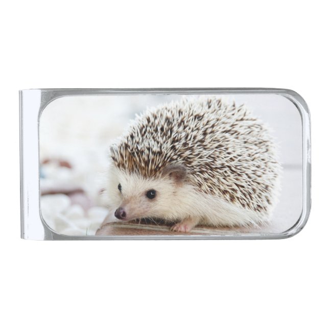 Cute Baby Hedgehog Photo Silver Finish Money Clip (Front)