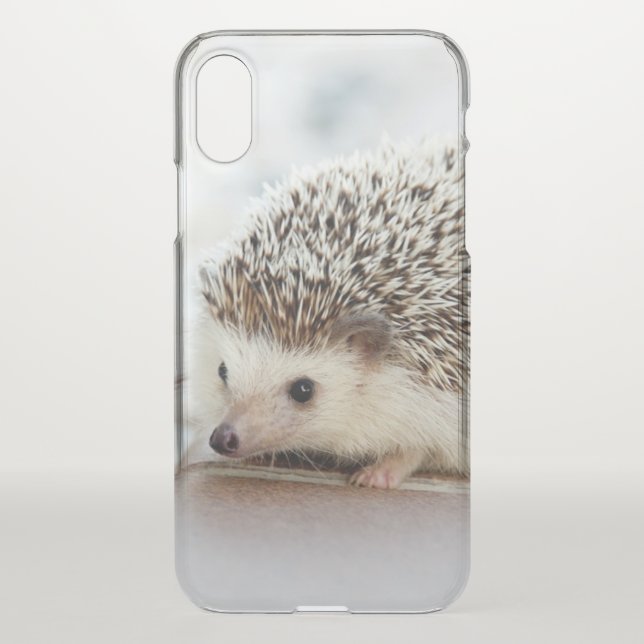 Cute Baby Hedgehog Photo Uncommon iPhone Case (Back)