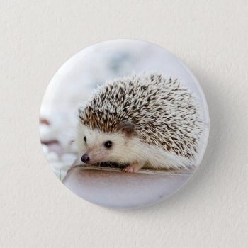 Cute Baby Hedgehog Pinback Button by MissMatching at Zazzle