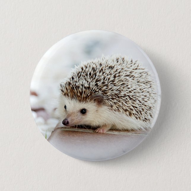 Cute Baby Hedgehog Pinback Button (Front)