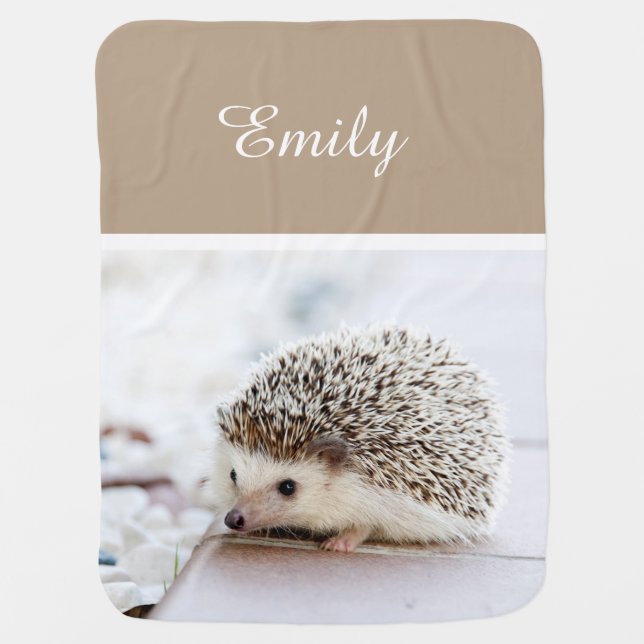 Cute Baby Hedgehog Receiving Blanket (Front)