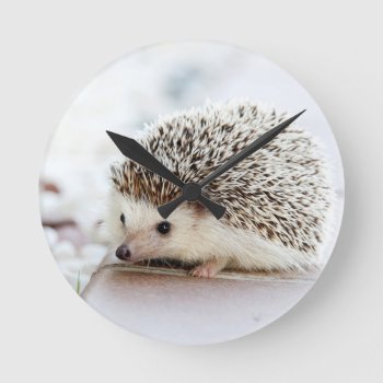 Cute Baby Hedgehog Round Clock by MissMatching at Zazzle