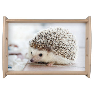 Cute Baby Hedgehog Serving Tray