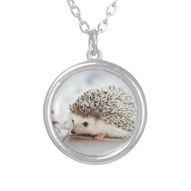 Cute Baby Hedgehog Silver Plated Necklace (Front)