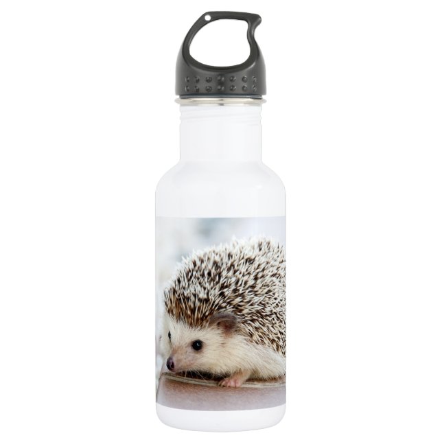 Cute Baby Hedgehog Stainless Steel Water Bottle (Front)