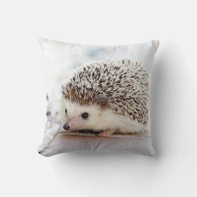 Cute Baby Hedgehog Throw Pillow (Front)