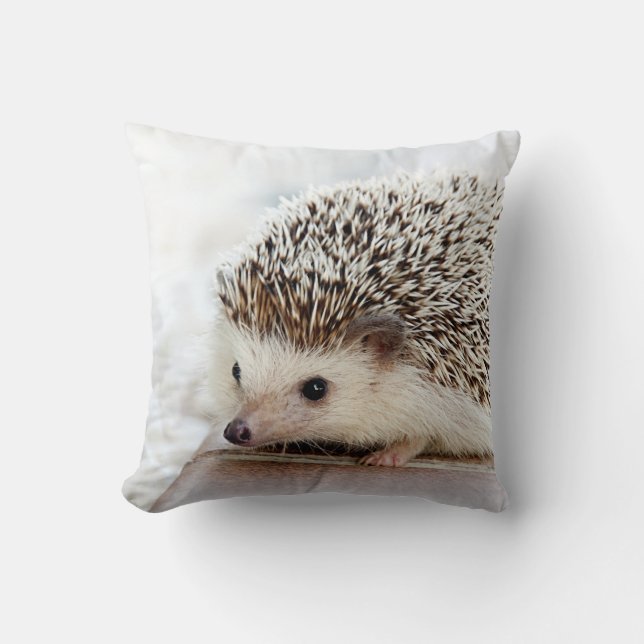 Cute Baby Hedgehog Throw Pillow (Front)