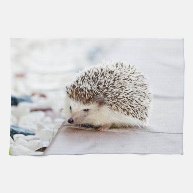 Cute Baby Hedgehog Towel (Horizontal)