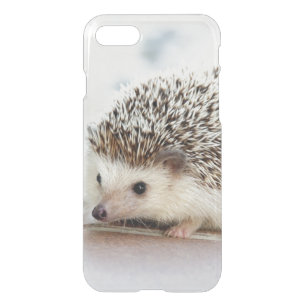 Cute Baby Hedgehog iPhone SE/8/7 Case