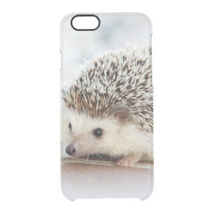 Cute Baby Hedgehog Clear iPhone 6/6S Case