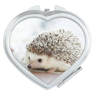 Cute Baby Hedgehog Vanity Mirror