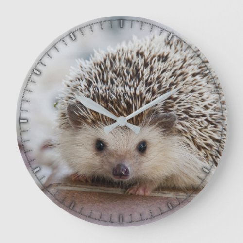 Cute baby hedgehog wall clock