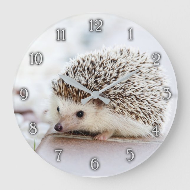 Cute baby hedgehog wall clock (Front)