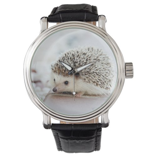 Cute Baby Hedgehog Watch
