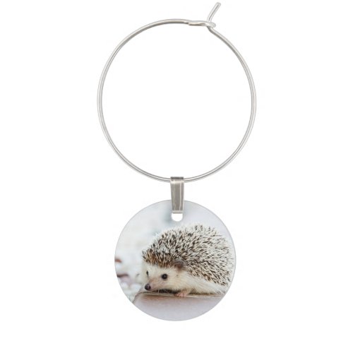 Cute Baby Hedgehog Wine Glass Charm