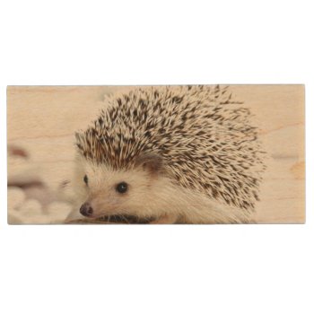 Cute Baby Hedgehog Wood Usb Flash Drive by MissMatching at Zazzle