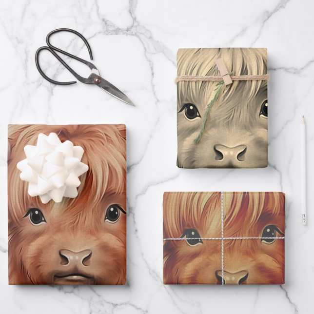 Cute Baby Highland Cow Valentine Hearts 2 Wrapping Paper Sheets (Front)