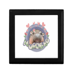 Cute Baby Hippo Moo Deng Bouncy Pig in Thai Hippop Gift Box