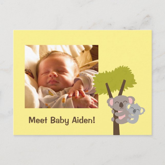 Cute Baby Koala Bear and Mommy Photo Postcard (Front)